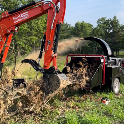 Tree Wood Chipper