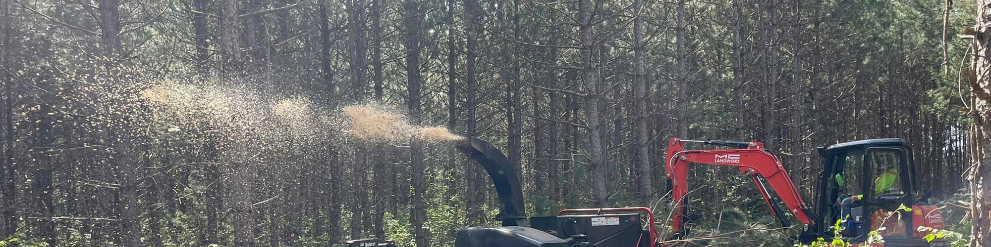 Quality, Professional Tree Service in Holmen and the surrounding areas