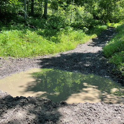 Deer Pond