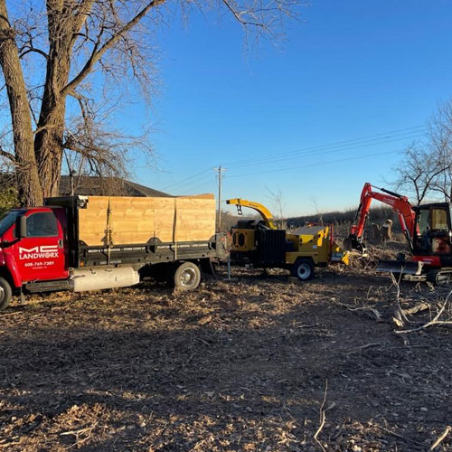 Tree removal equipment