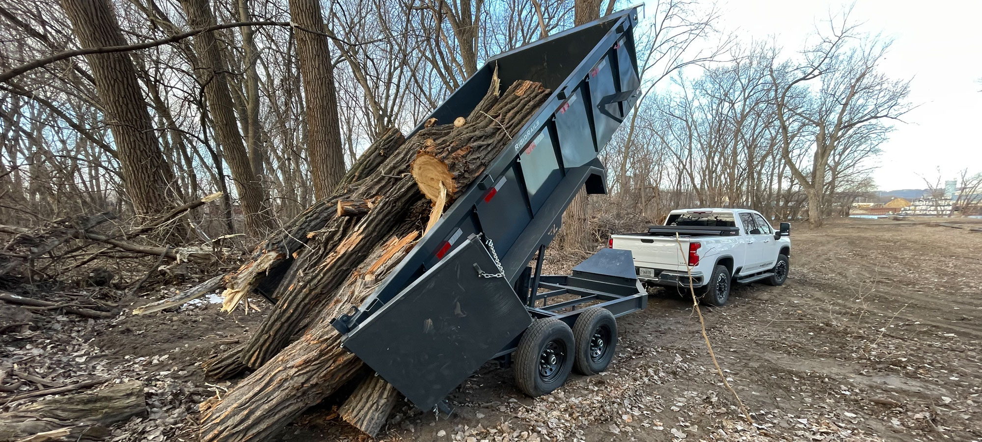 Hauling Tree