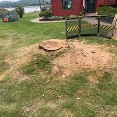 Stump Grinding